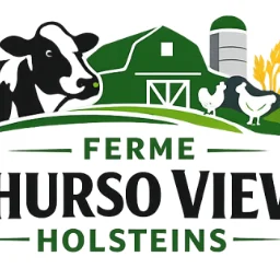 Ferme Thurso View Holsteins logo